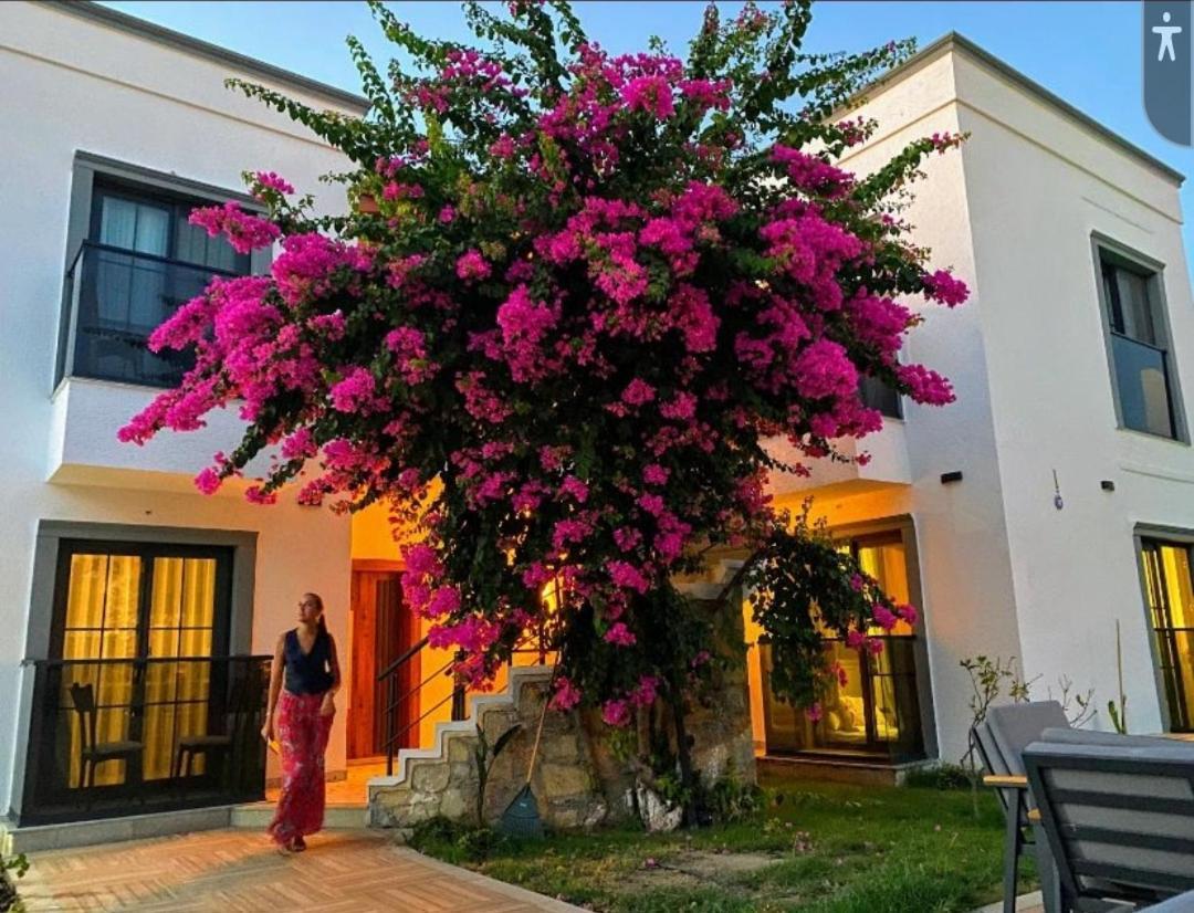 Derin Suite Hotel Bodrum Exteriér fotografie